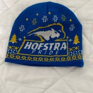 NWOT Hofstra Pride hat